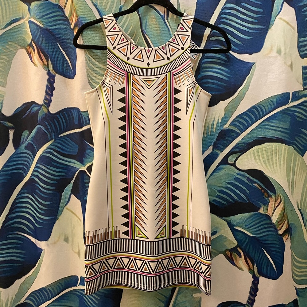 Minkpink dress